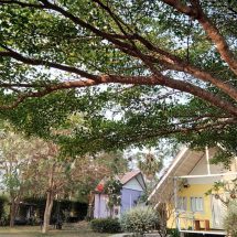 บ้านบางโฮมรีสอร์ทจัดโปรโมชั่นพิเศษ “วันธรรมดาน่าพัก”