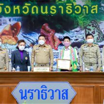 มอบเกีบรติบัตร