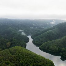 ฮาลา-บาลา ผืนป่าแห่งความสุขใต้สุดแดนสยาม
