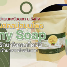 ว.การแพทย์แผนตะวันออก ม.รังสิต นำร่อง ผลิตสบู่สมุนไพร “Sunny Soap” ทางเลือกรักษาโรคสะเก็ดเงิน ลดการนำเข้ายาจากต่างประเทศ