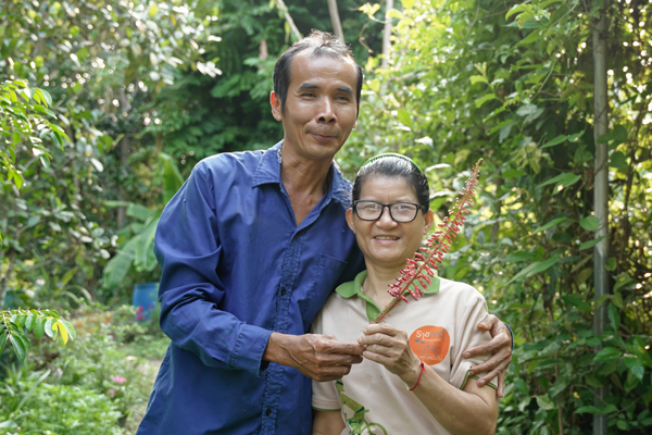 จากเมล็ดสู่ชีวิตใหม่ ที่เขาหินซ้อน
